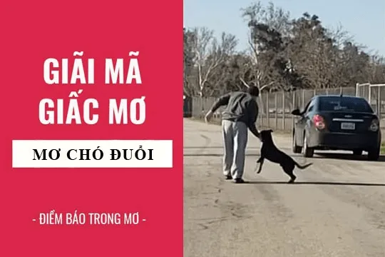 giai-ma-giac-mo-thay-cho-duoi-min_11zon